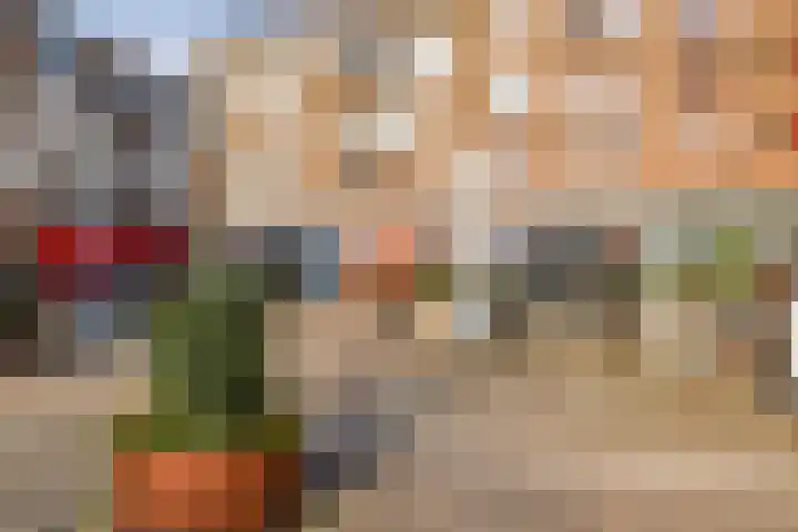 Alexandrine Tinnehof 12 Amsterdam thumbnail 35