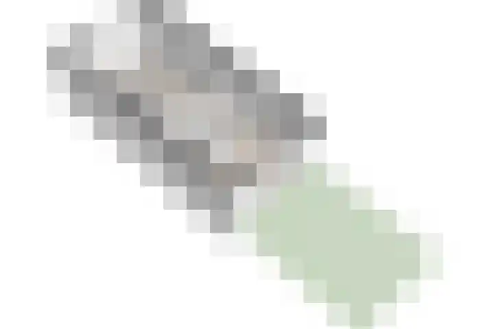 Alexandrine Tinnehof 12 Amsterdam thumbnail 39