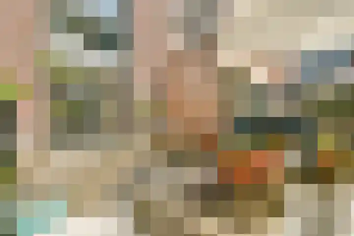 Alexandrine Tinnehof 12 Amsterdam thumbnail 6