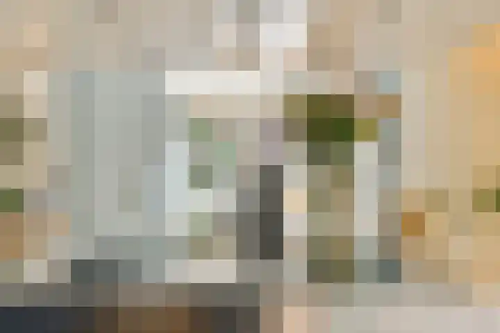 Alexandrine Tinnehof 9 Amsterdam thumbnail 12
