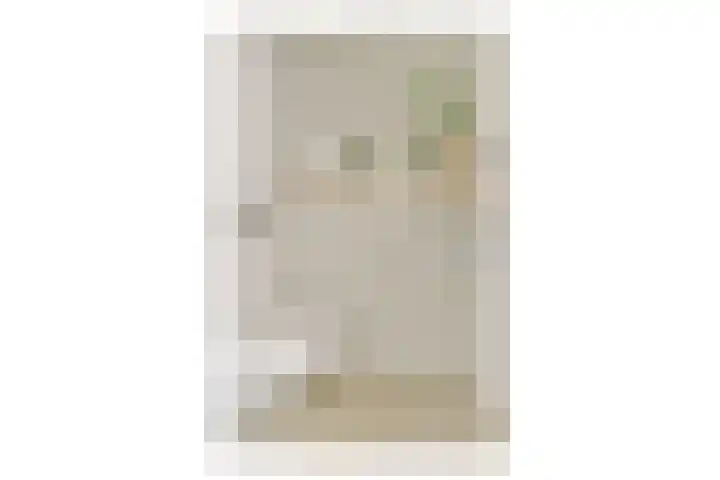Alexandrine Tinnehof 9 Amsterdam thumbnail 17