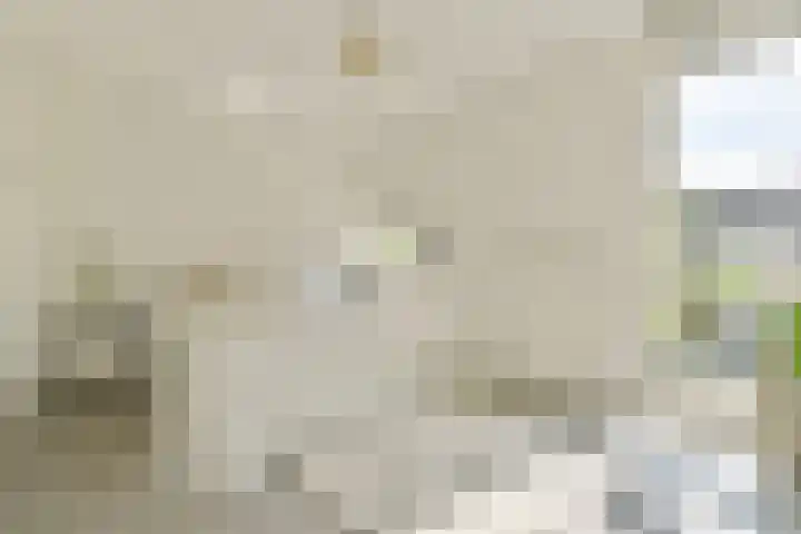 Alexandrine Tinnehof 9 Amsterdam thumbnail 21