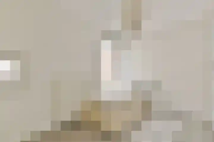 Alexandrine Tinnehof 9 Amsterdam thumbnail 26