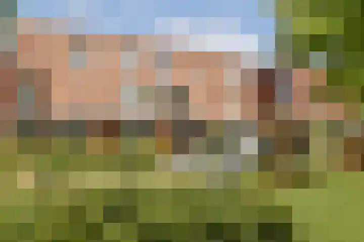 Alexandrine Tinnehof 9 Amsterdam thumbnail 30