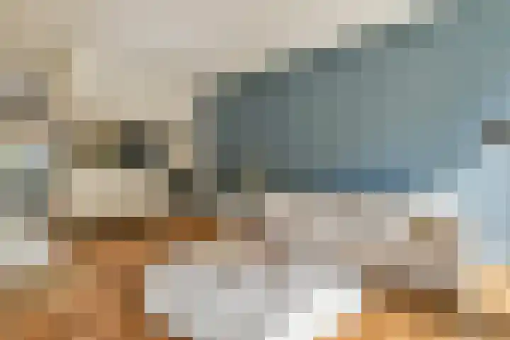 Alexandrine Tinnehof 9 Amsterdam thumbnail 4