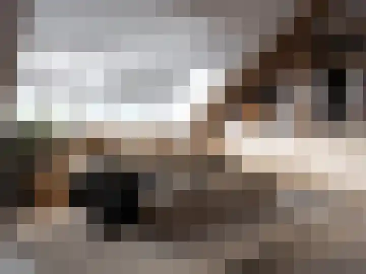 Alexialaan 11 Zaltbommel thumbnail 10