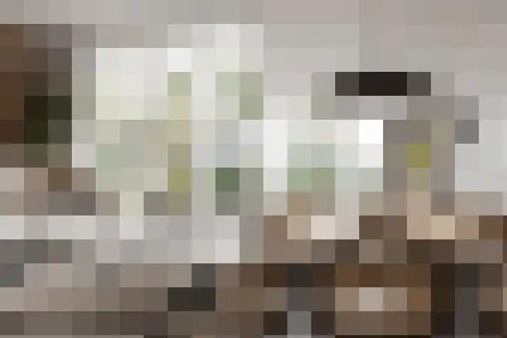 Alexialaan 11 Zaltbommel thumbnail 4