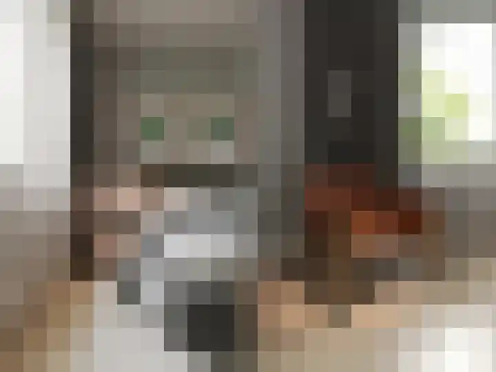 Alexialaan 11 Zaltbommel thumbnail 7