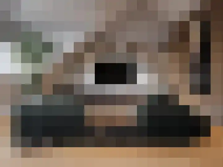 Alexialaan 11 Zaltbommel thumbnail 8
