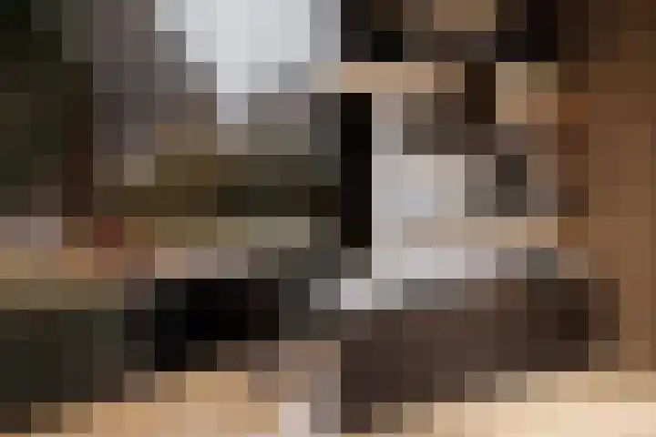 Alexialaan 11 Zaltbommel thumbnail 9