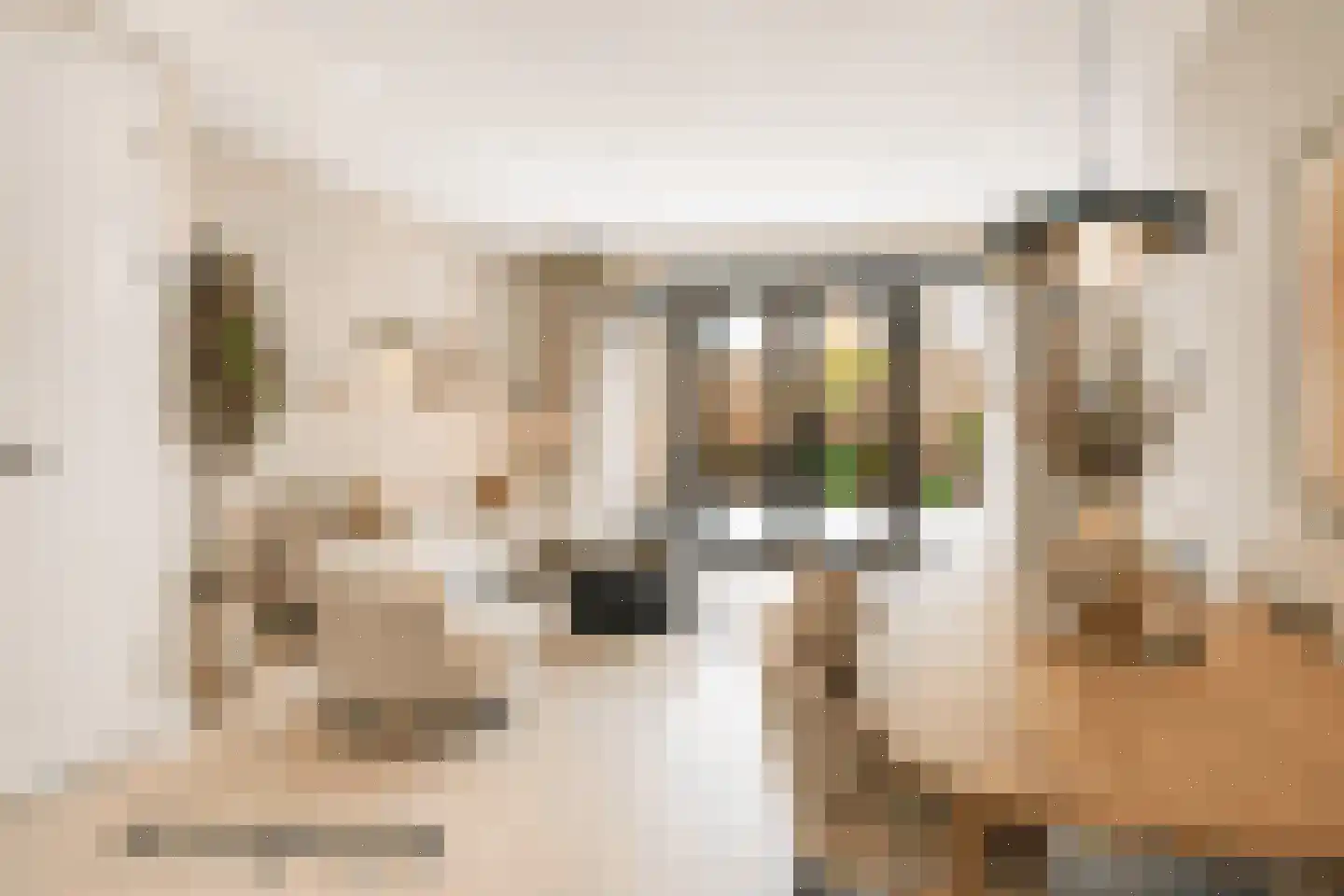 Alexialaan 23 Zaltbommel thumbnail 12
