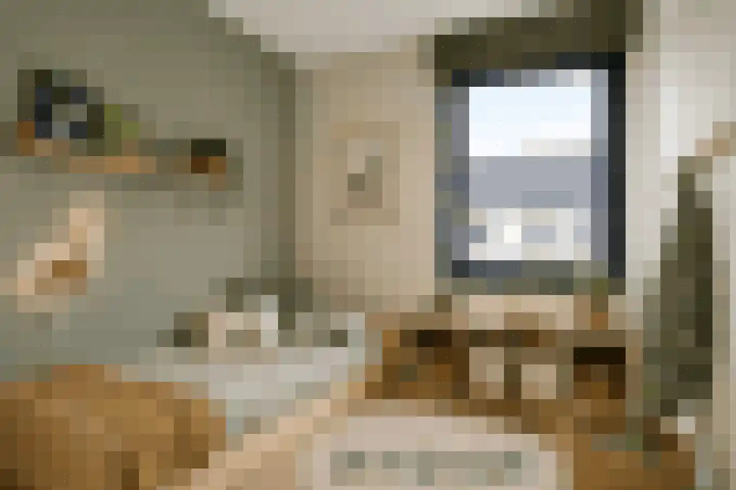 Alexialaan 23 Zaltbommel thumbnail 25