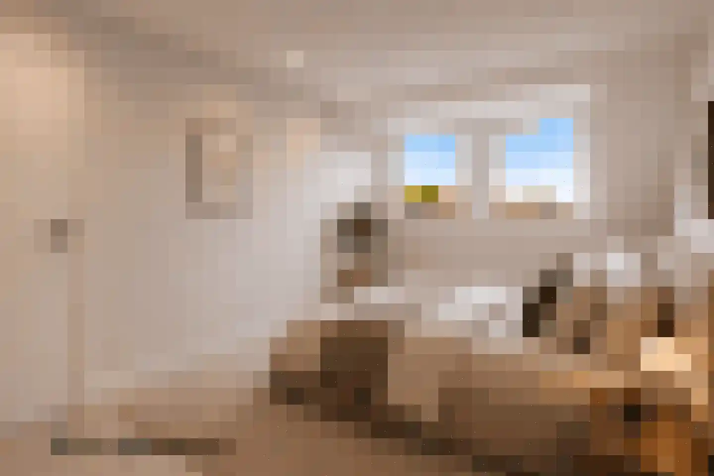 Alexialaan 23 Zaltbommel thumbnail 31