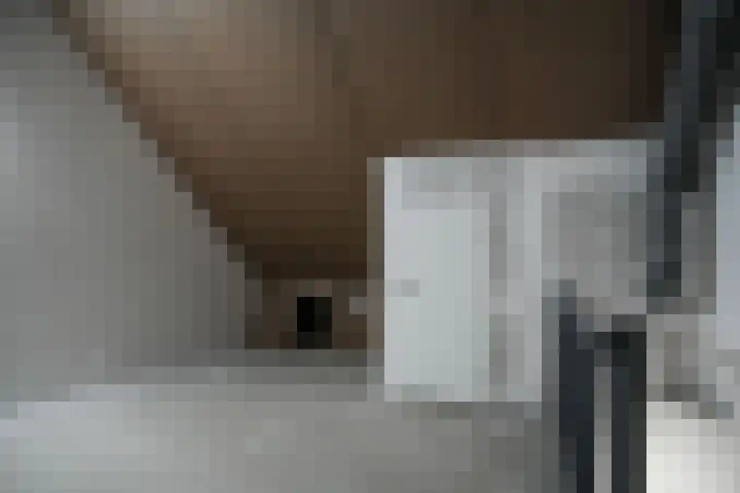 Alexialaan 23 Zaltbommel thumbnail 32