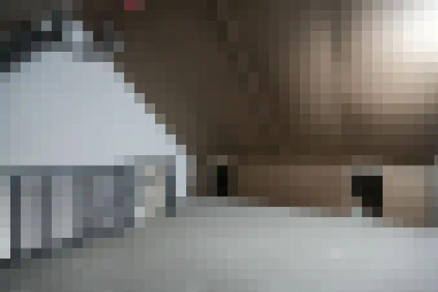 Alexialaan 23 Zaltbommel thumbnail 33