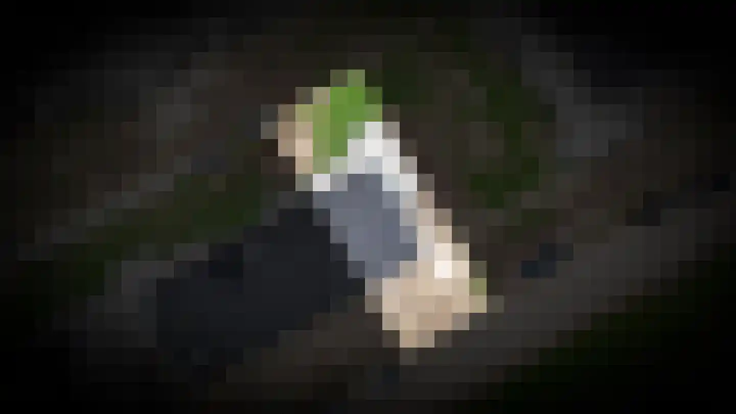 Alexialaan 23 Zaltbommel thumbnail 4