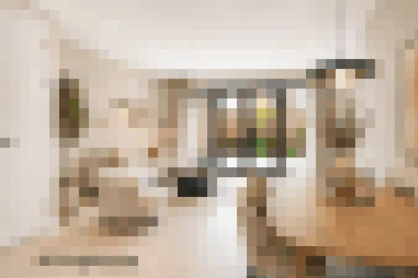 Alexialaan 23 Zaltbommel thumbnail 5