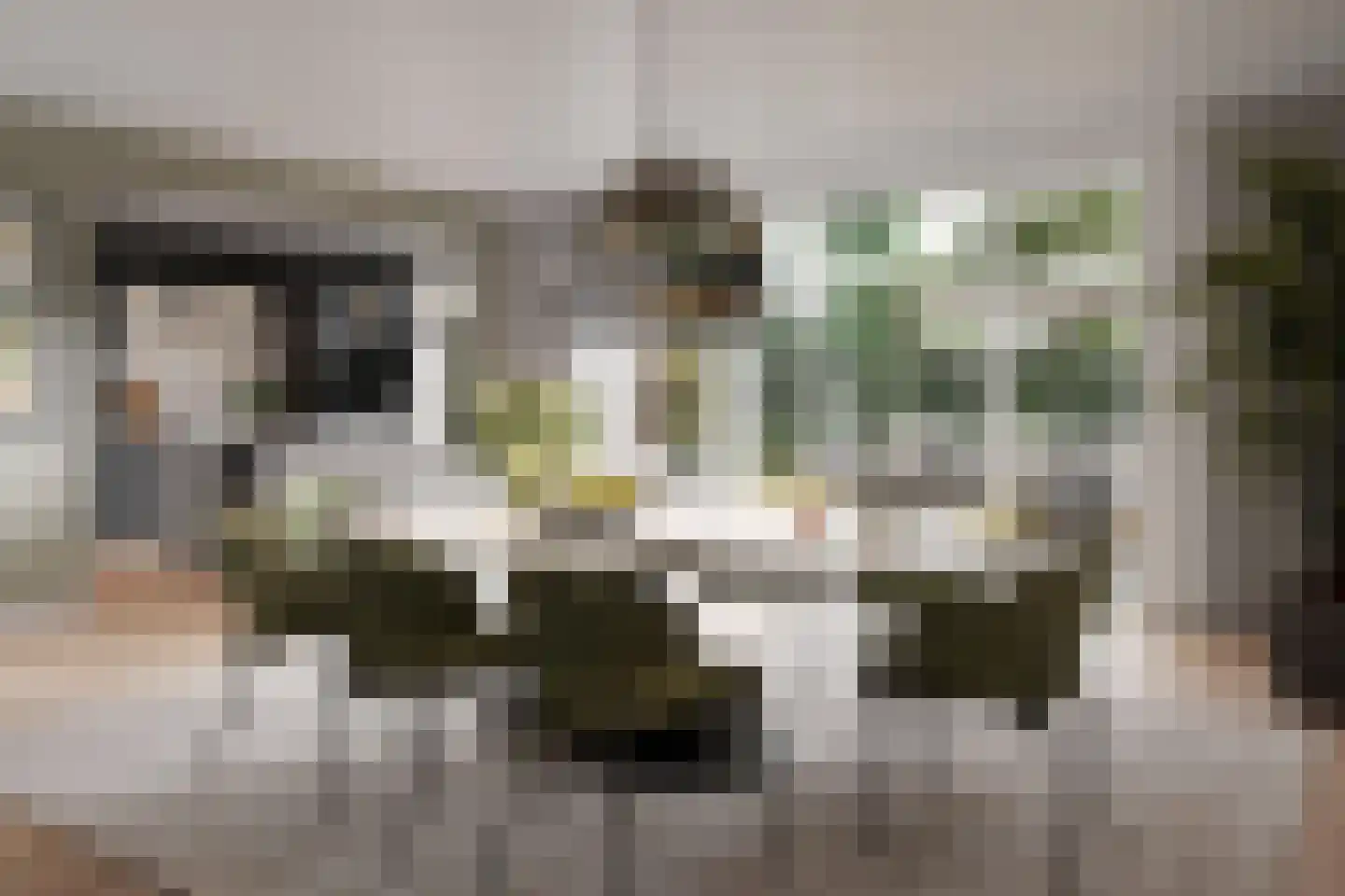 Alexialaan 31 Zaltbommel thumbnail 4