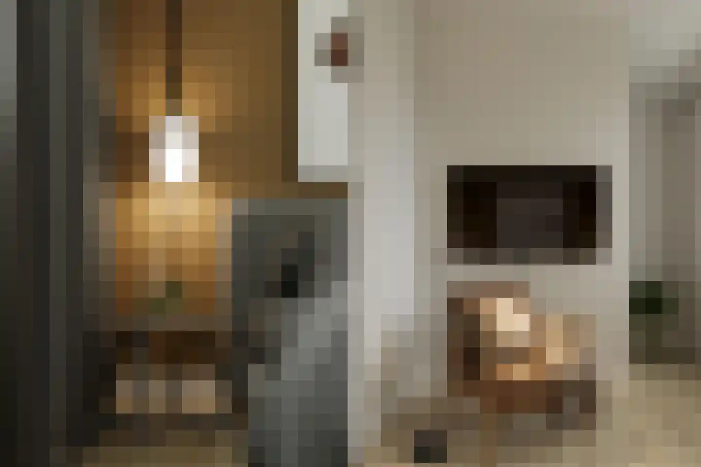 Alexialaan 31 Zaltbommel thumbnail 7