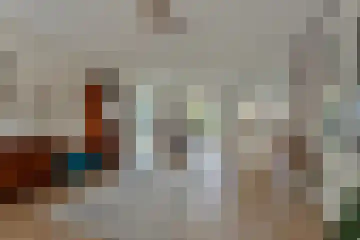 Alexialaan 6 Heerenveen thumbnail 12
