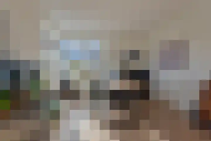 Alexialaan 6 Heerenveen thumbnail 16