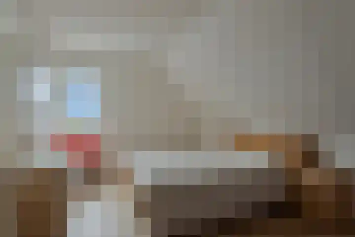 Alexialaan 6 Heerenveen thumbnail 21