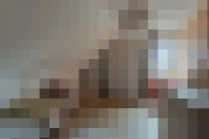 Alexialaan 6 Heerenveen thumbnail 23