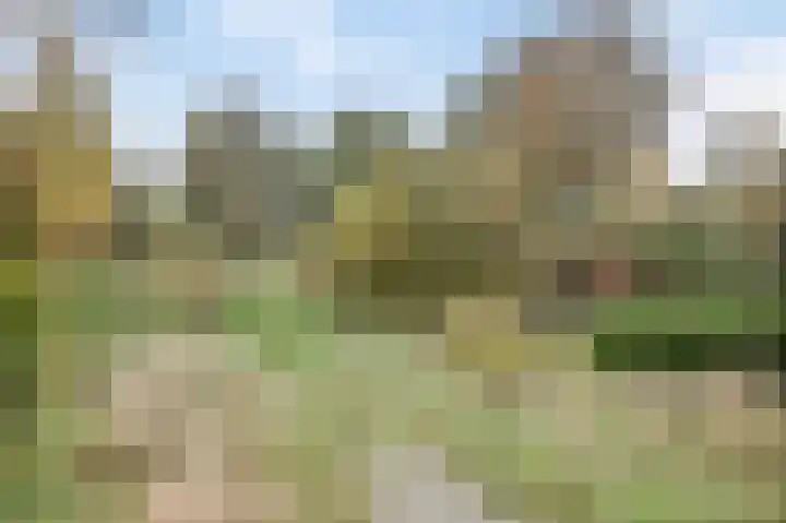Alexialaan 6 Heerenveen thumbnail 24