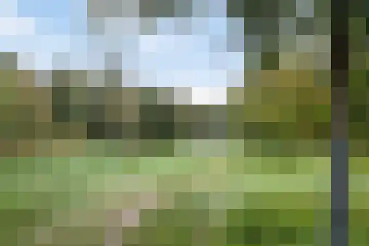 Alexialaan 6 Heerenveen thumbnail 25