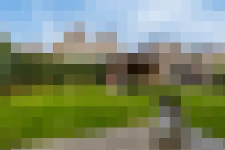 Alexialaan 6 Heerenveen thumbnail 4