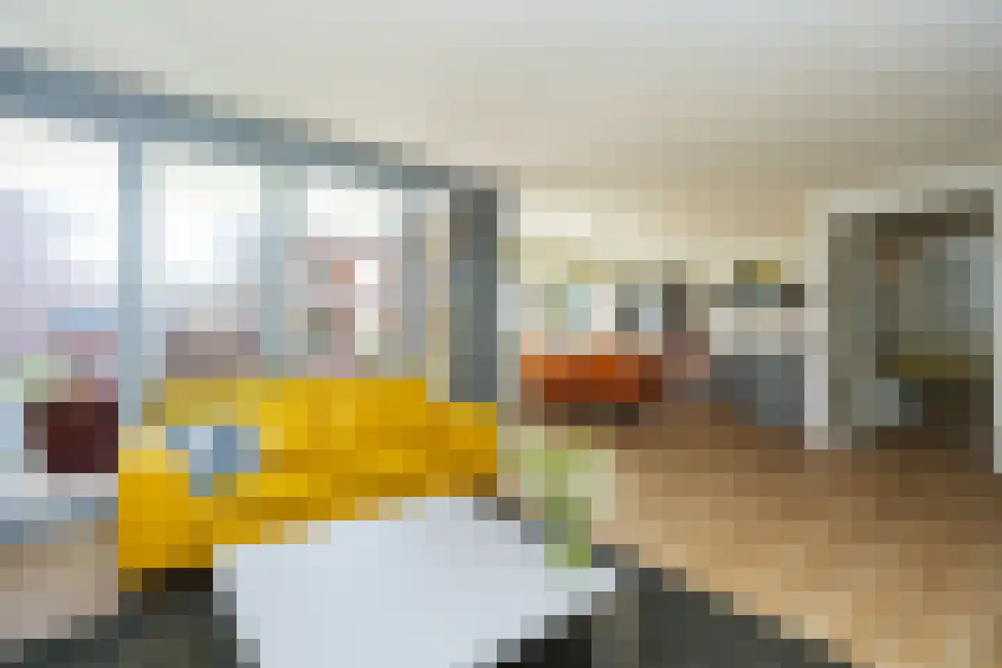 Alexiastraat 119 Beuningen Gld thumbnail 15