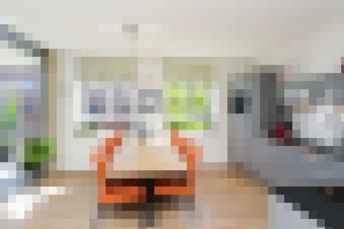 Alexiastraat 119 Beuningen Gld thumbnail 7