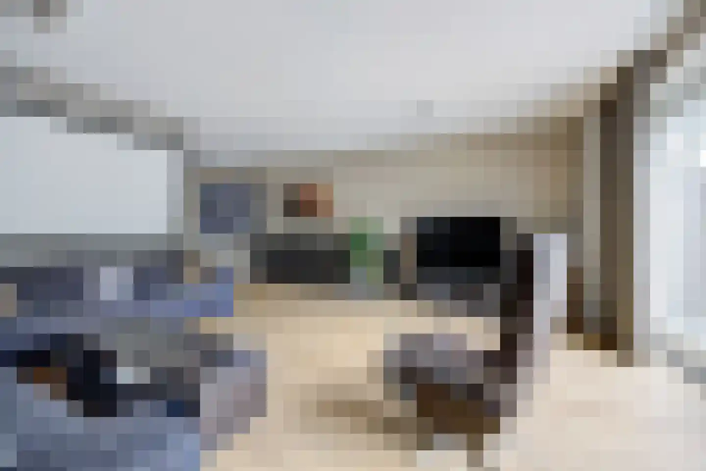 Alexiastraat 2 St. Willebrord thumbnail 11