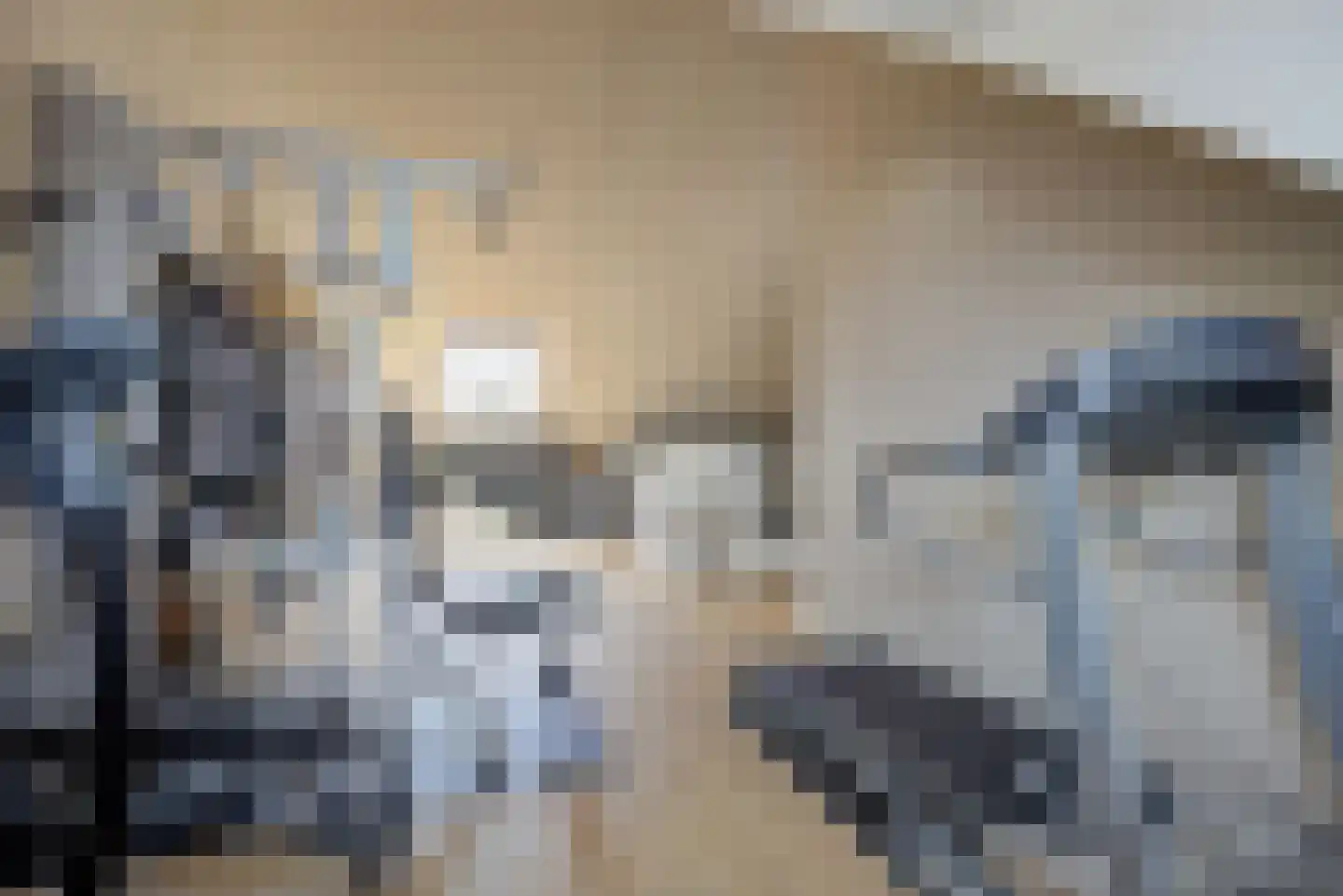 Alexiastraat 2 St. Willebrord thumbnail 37