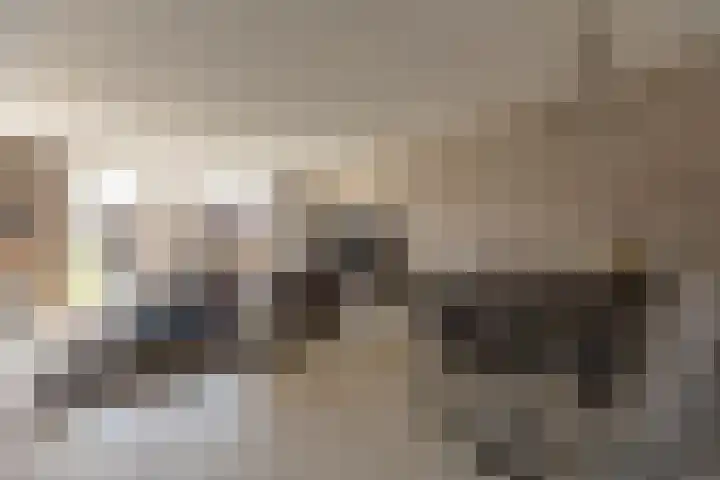 Alexiastraat 20 St. Willebrord thumbnail 10