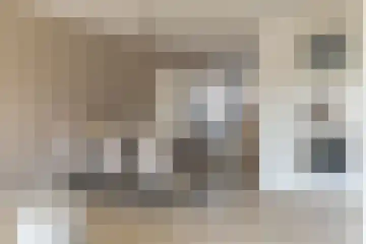 Alexiastraat 20 St. Willebrord thumbnail 13