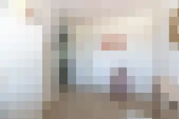 Alexiastraat 20 St. Willebrord thumbnail 19