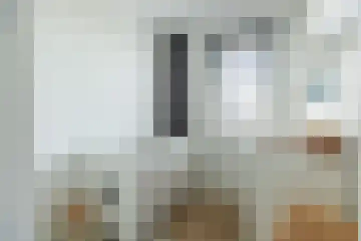 Alexiastraat 20 St. Willebrord thumbnail 20