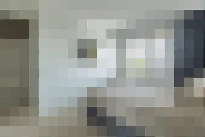 Alexiastraat 20 St. Willebrord thumbnail 22