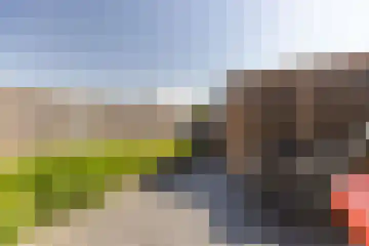 Alexiastraat 20 St. Willebrord thumbnail 30