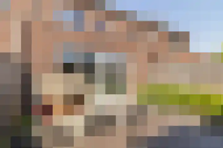 Alexiastraat 20 St. Willebrord thumbnail 32