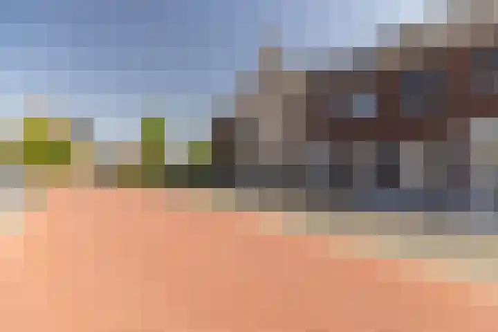 Alexiastraat 20 St. Willebrord thumbnail 34
