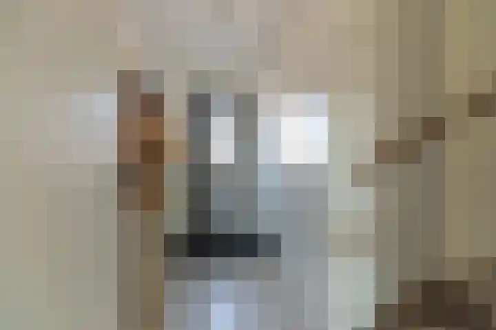 Alexiastraat 20 St. Willebrord thumbnail 9