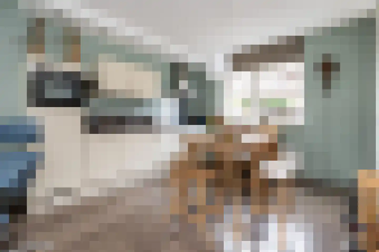 Alexiastraat 8 Melissant thumbnail 10