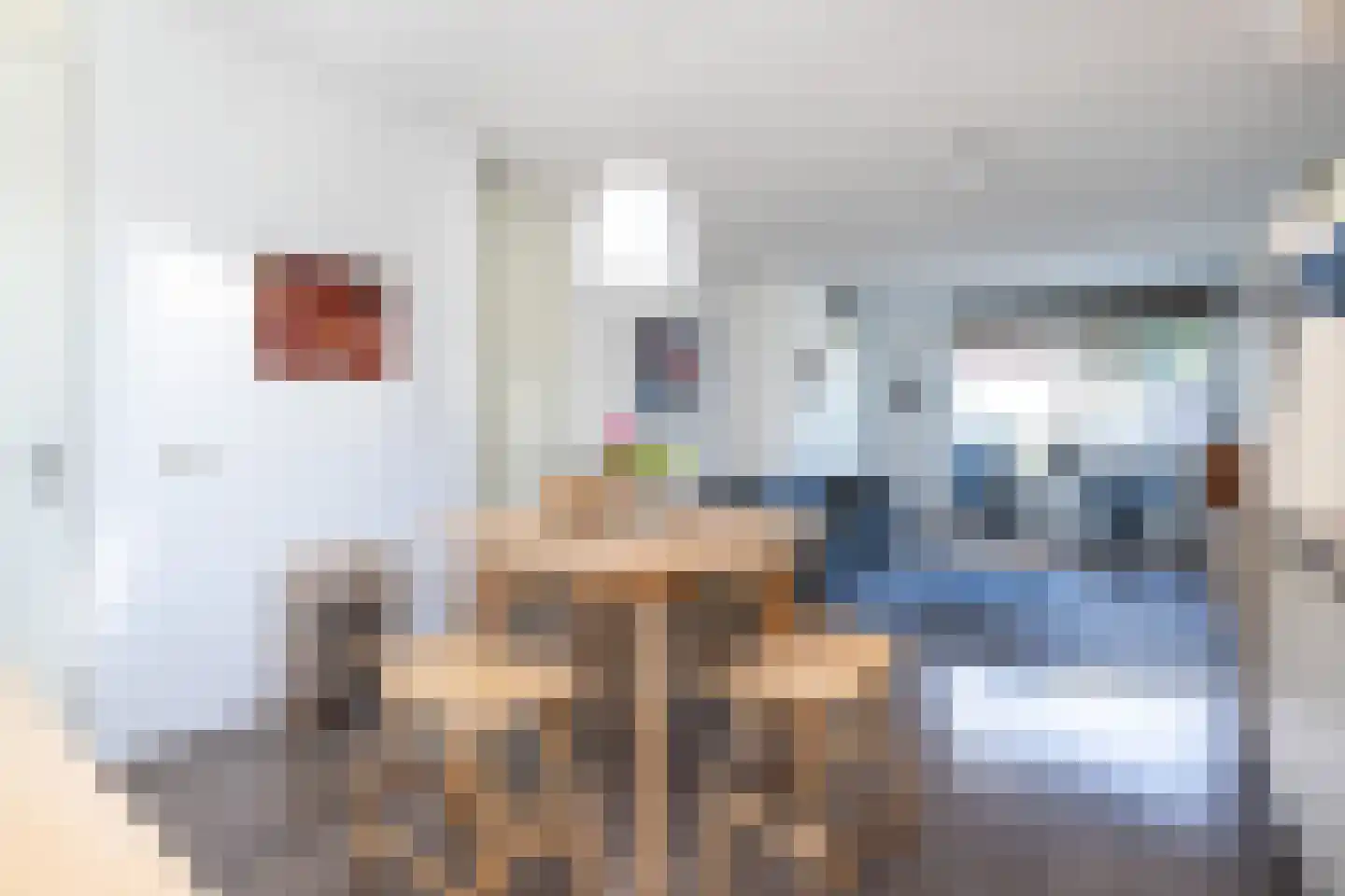 Alexiastraat 8 Melissant thumbnail 11