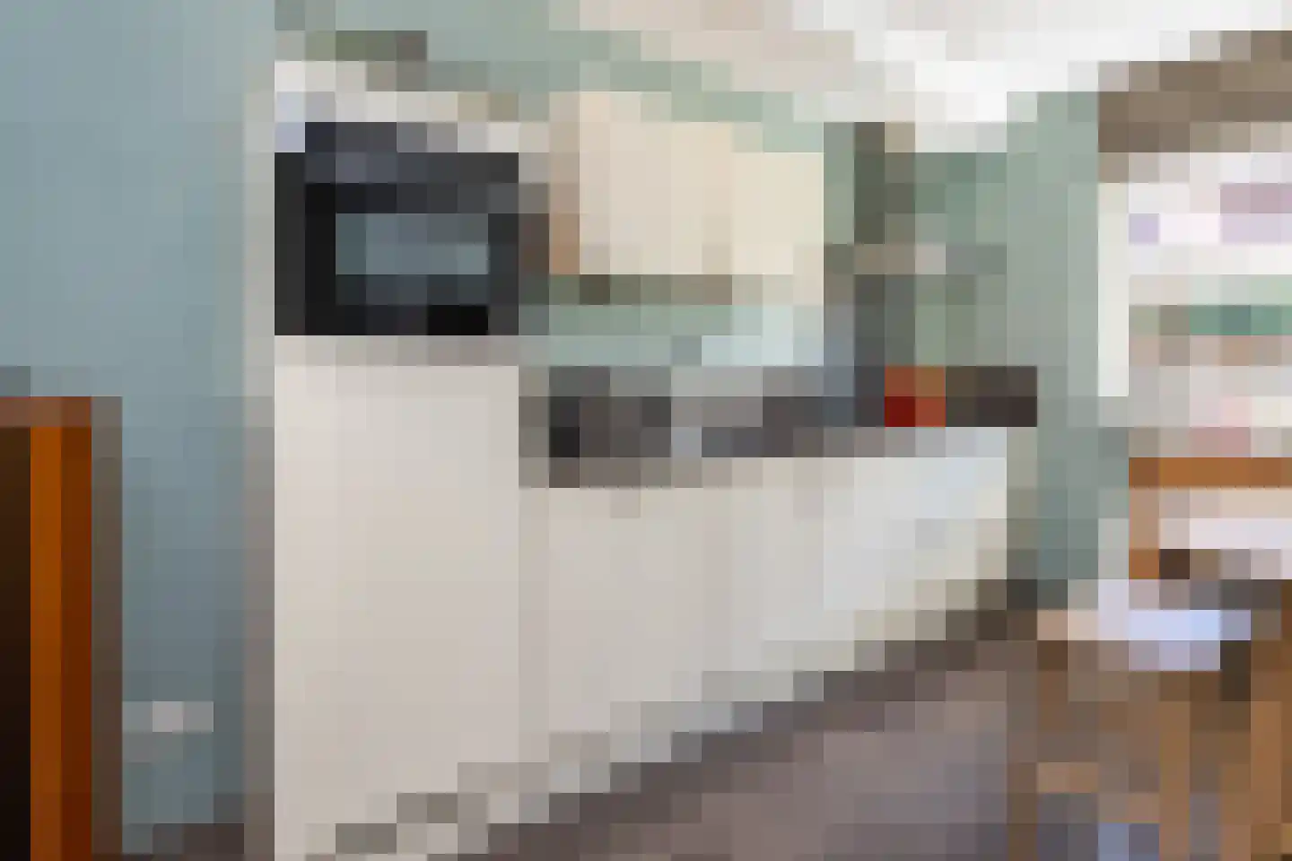 Alexiastraat 8 Melissant thumbnail 14