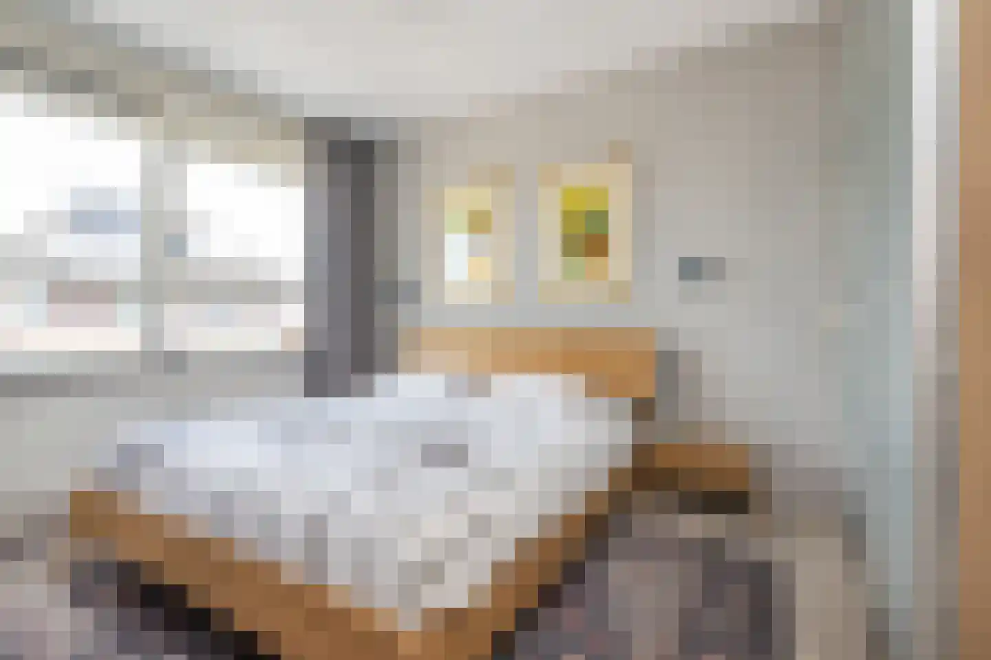 Alexiastraat 8 Melissant thumbnail 19