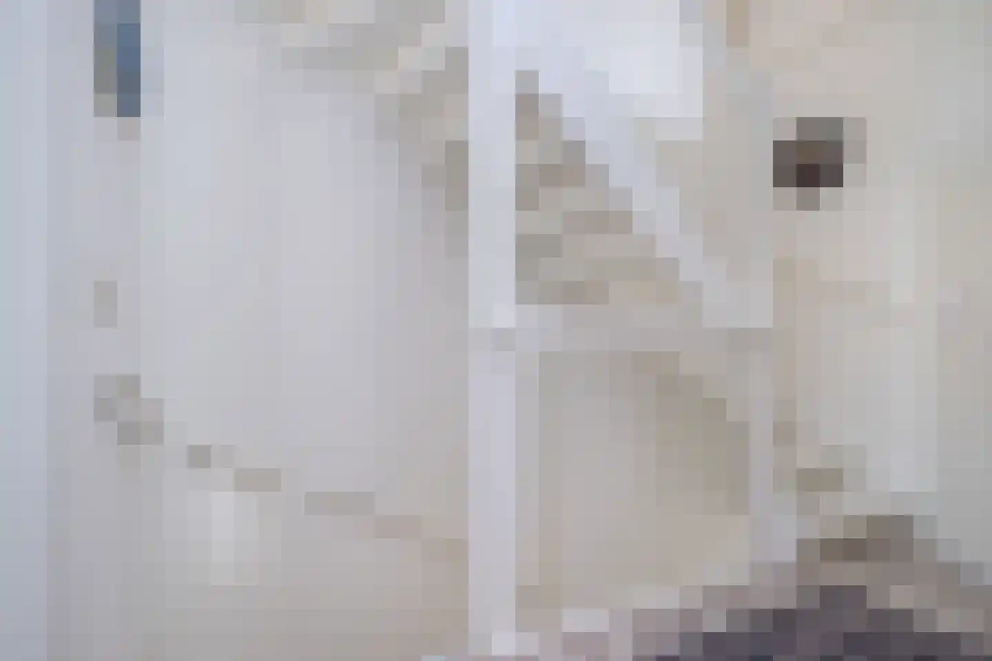 Alexiastraat 8 Melissant thumbnail 22