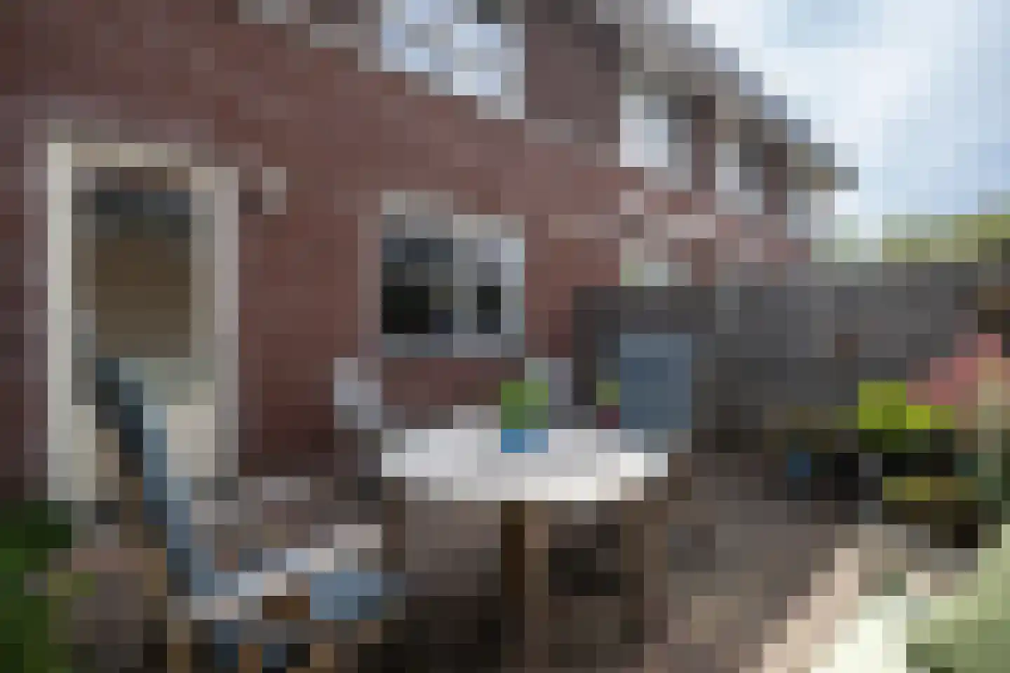 Alexiastraat 8 Melissant thumbnail 26