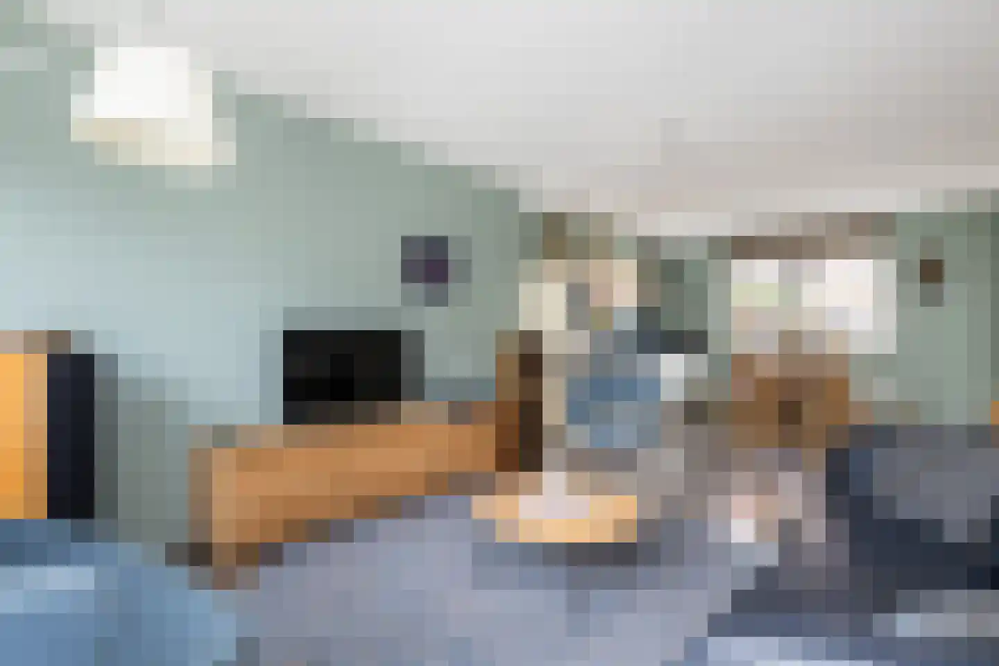 Alexiastraat 8 Melissant thumbnail 6